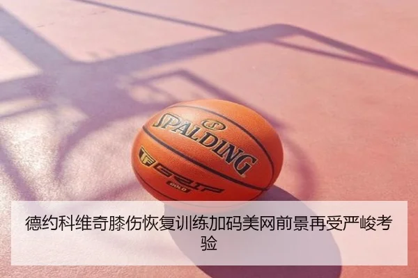 德约科维奇膝伤恢复训练加码美网前景再受严峻考验